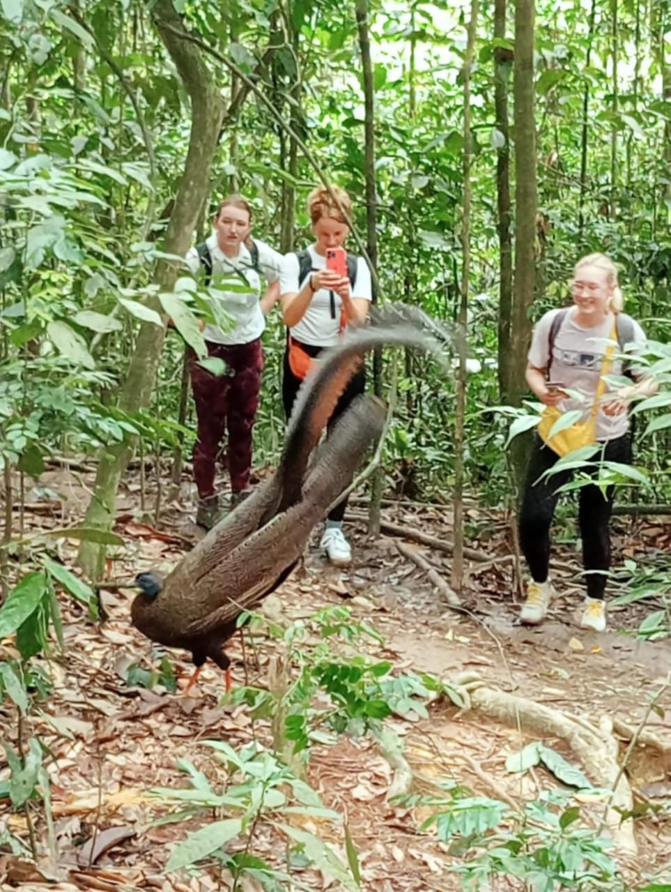 Landak River Guest House Only Trekking With Us Bukit Lawang Exterior photo