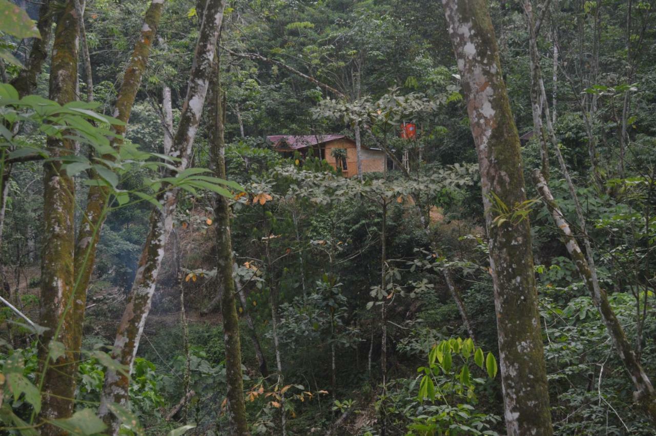 Landak River Guest House Only Trekking With Us Bukit Lawang Exterior photo