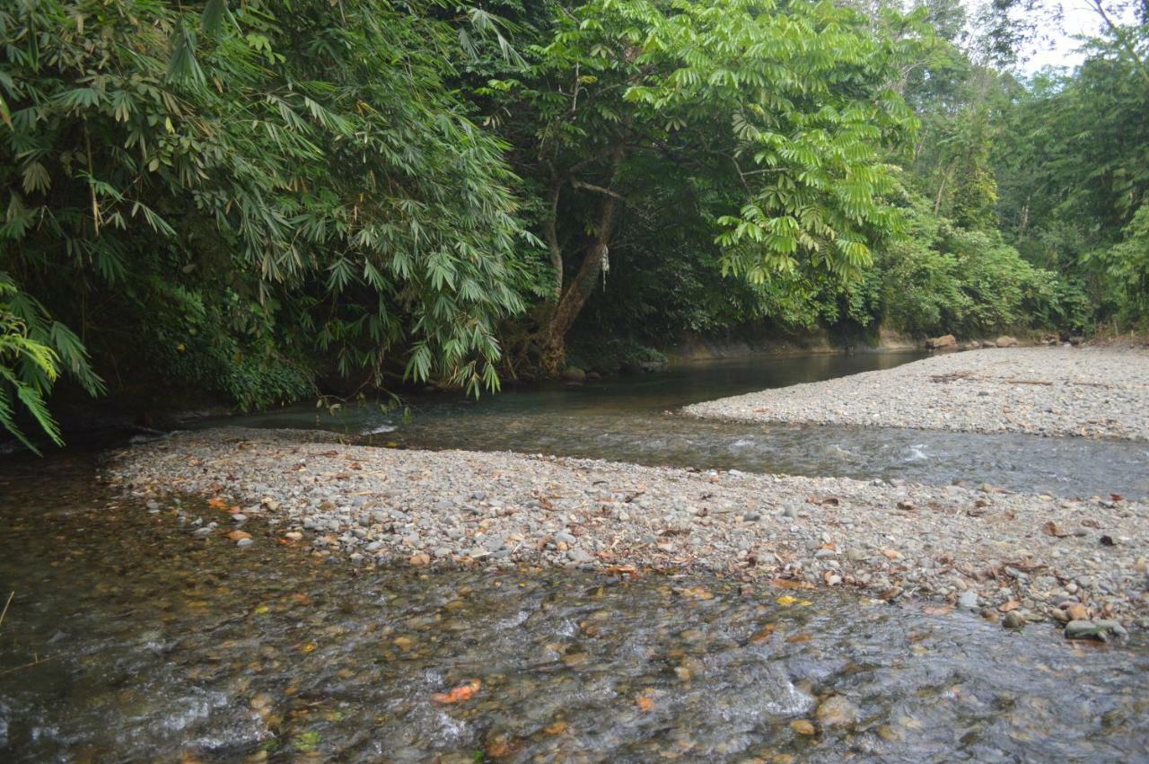 Landak River Guest House Only Trekking With Us Bukit Lawang Exterior photo