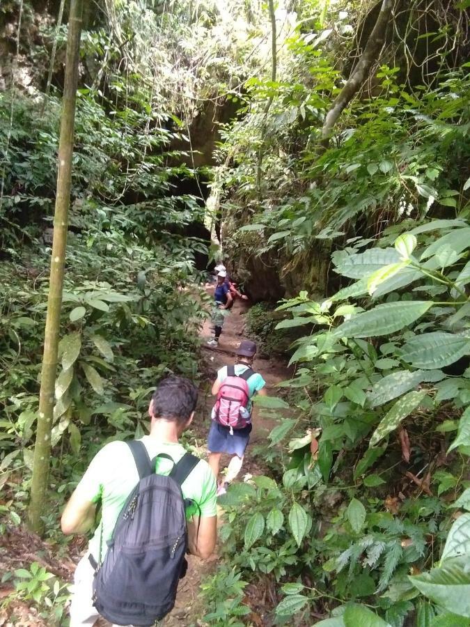 Landak River Guest House Only Trekking With Us Bukit Lawang Exterior photo